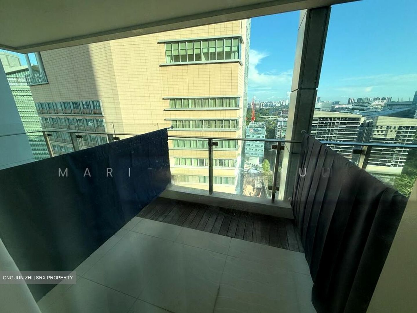 The Rochester Residences (D5), Apartment #540463811
